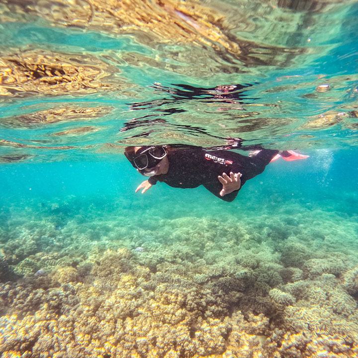 Whitehaven Beach + 1 Snorkel Location